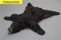 美洲黑熊皮-國立臺灣博物館典藏查詢資訊系統-藏品資料-TMMA0302